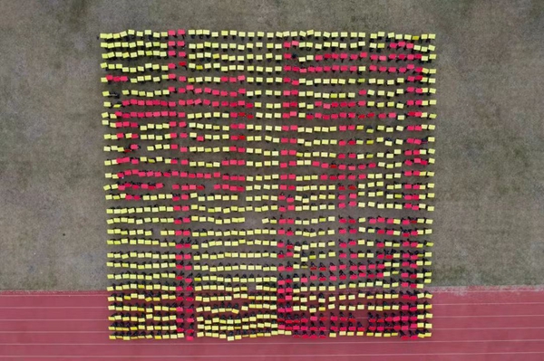 2025新澳门免费原料网