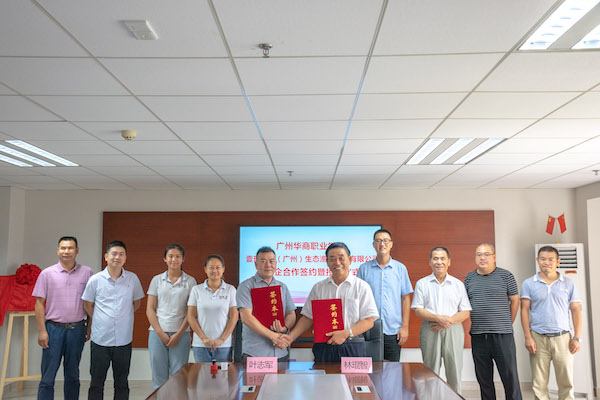 2025新澳门免费原料网