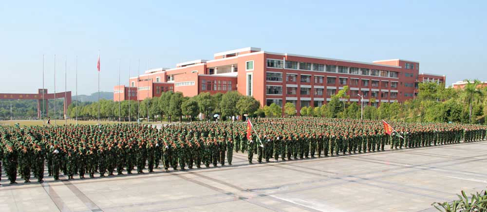 2025新澳门免费原料网