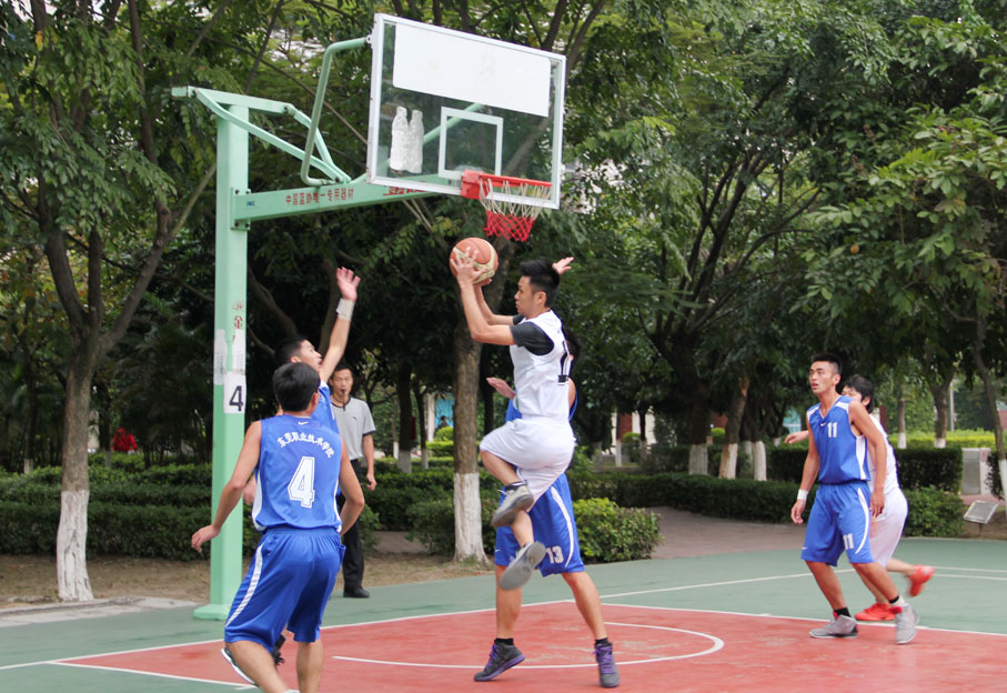 2025新澳门免费原料网