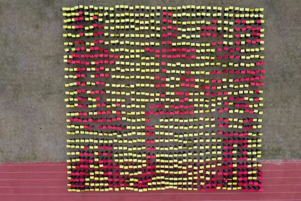 2025新澳门免费原料网