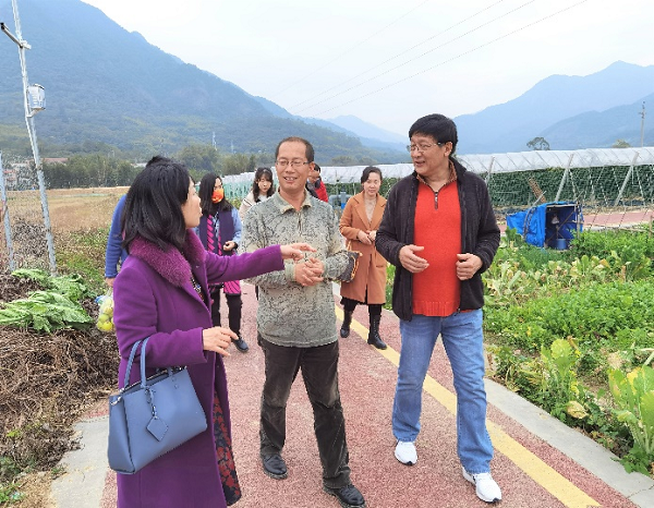 2025新澳门免费原料网