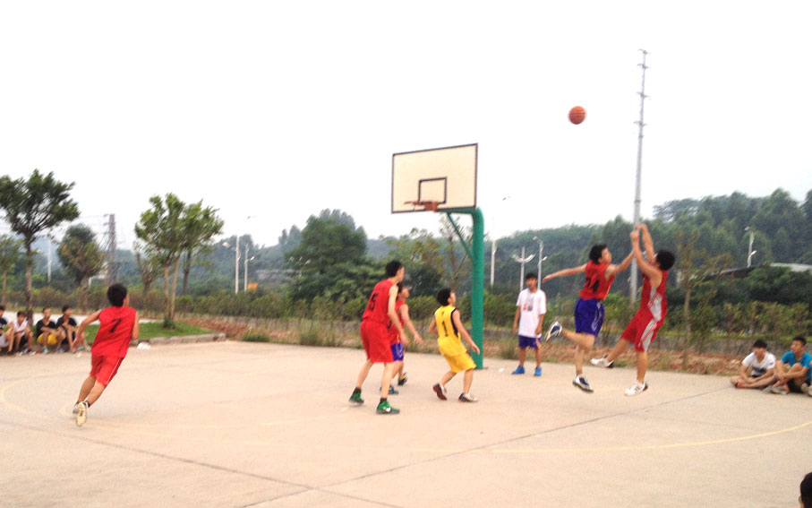 2025新澳门免费原料网