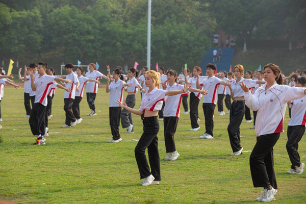 2025新澳门免费原料网