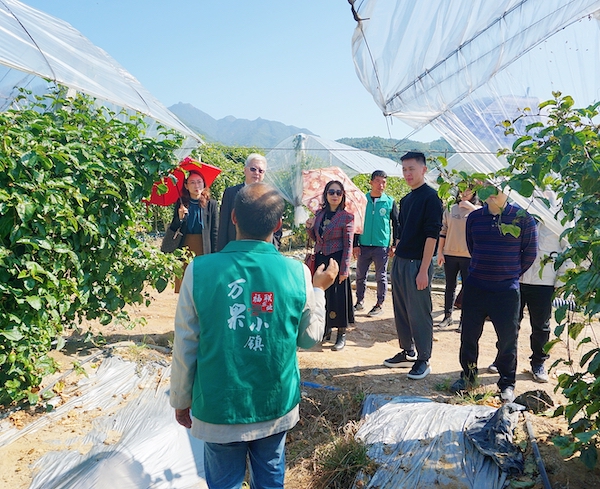 2025新澳门免费原料网