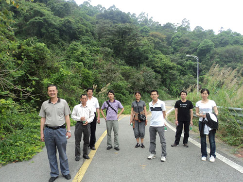 2025新澳门免费原料网