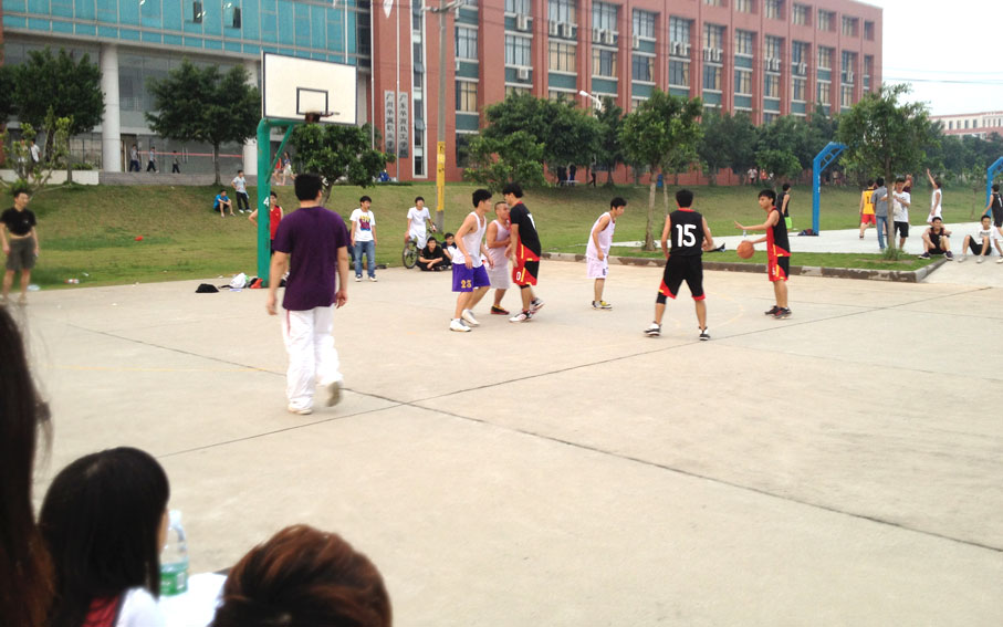 2025新澳门免费原料网