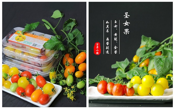 2025新澳门免费原料网