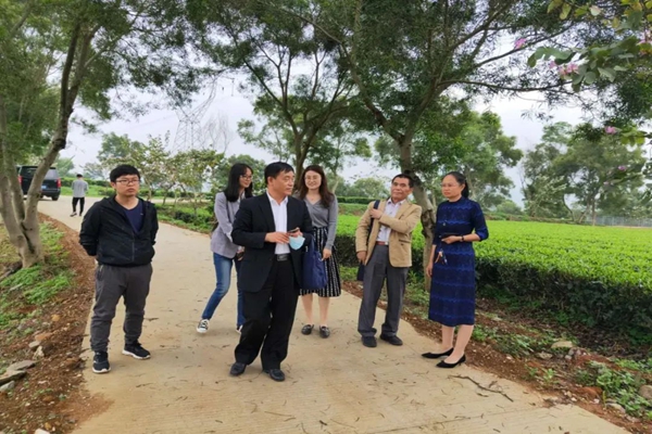 2025新澳门免费原料网