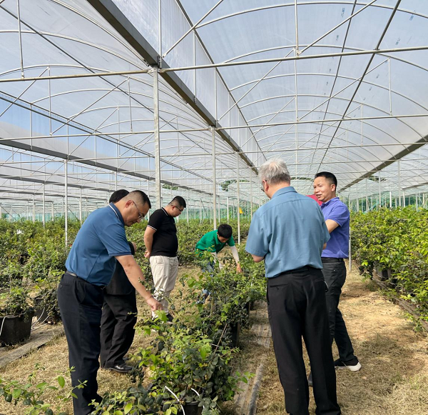 2025新澳门免费原料网