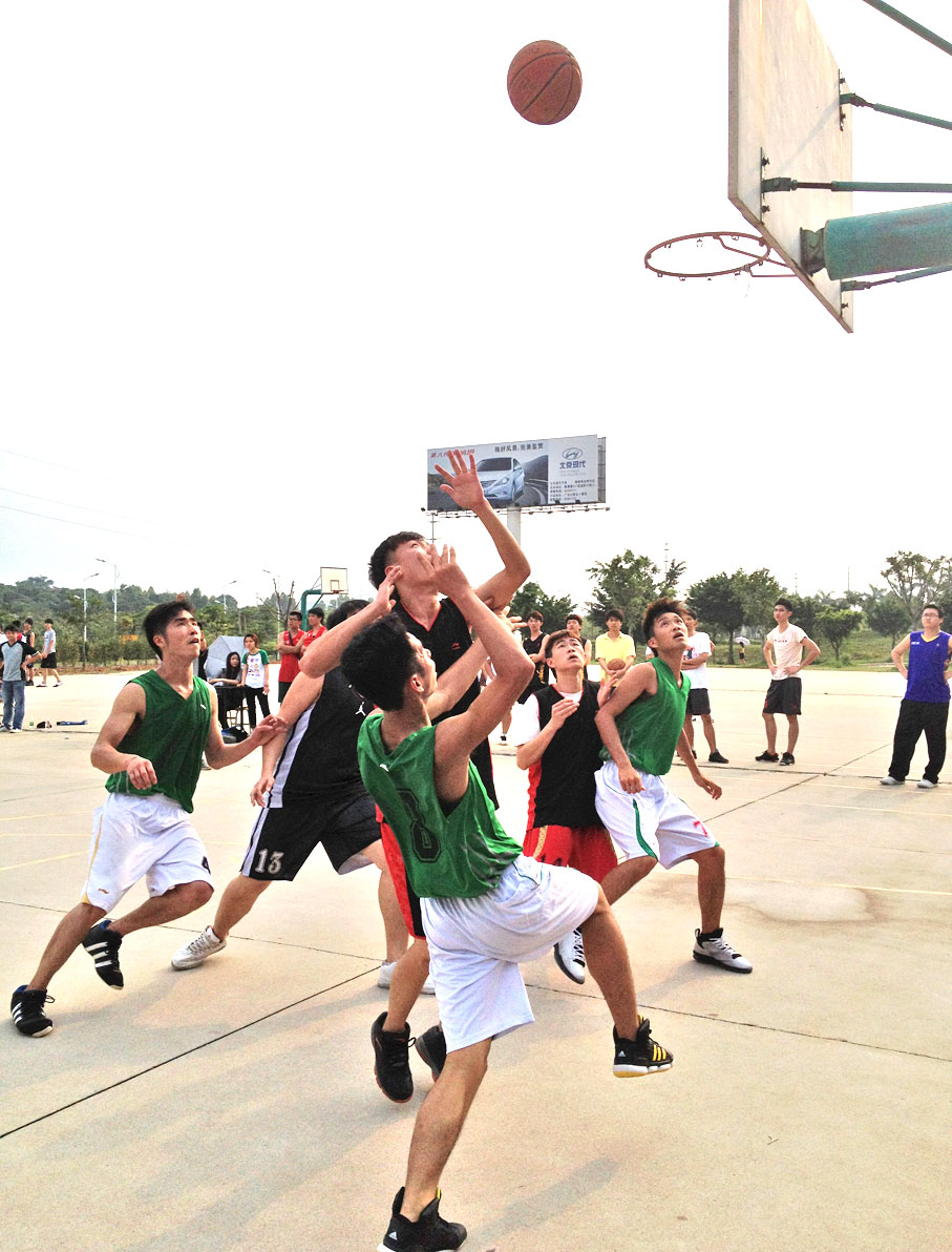 2025新澳门免费原料网