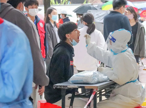 2025新澳门免费原料网