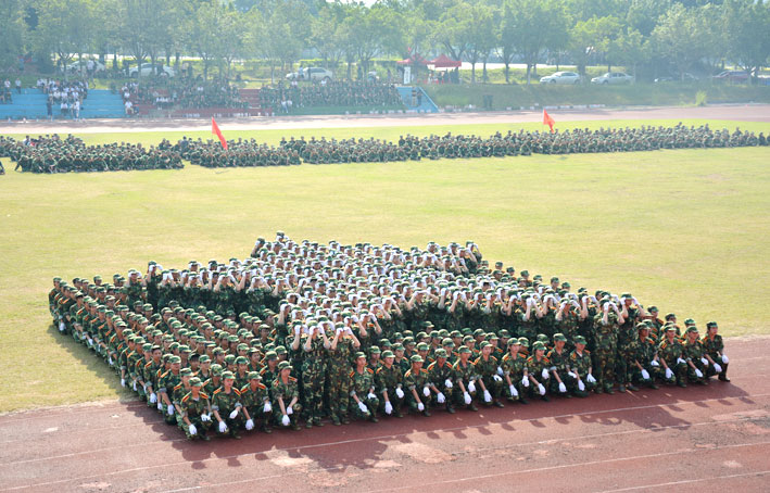 2025新澳门免费原料网