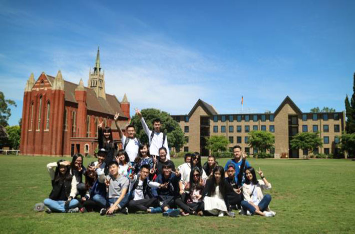 2025新澳门免费原料网