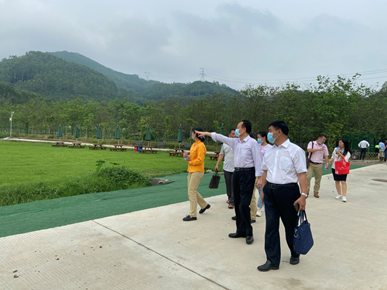 2025新澳门免费原料网