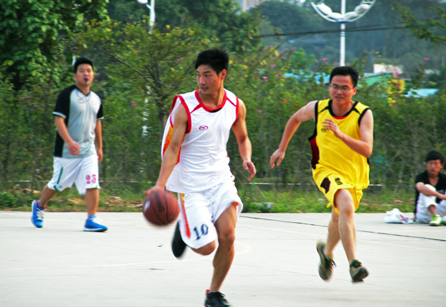 2025新澳门免费原料网