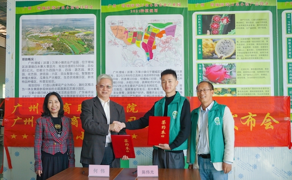 2025新澳门免费原料网