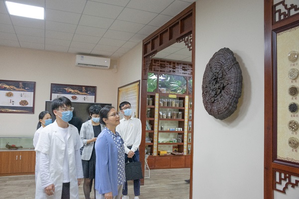 2025新澳门免费原料网