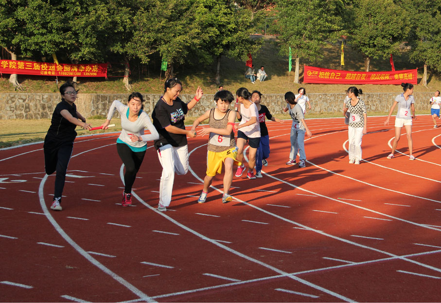 2025新澳门免费原料网