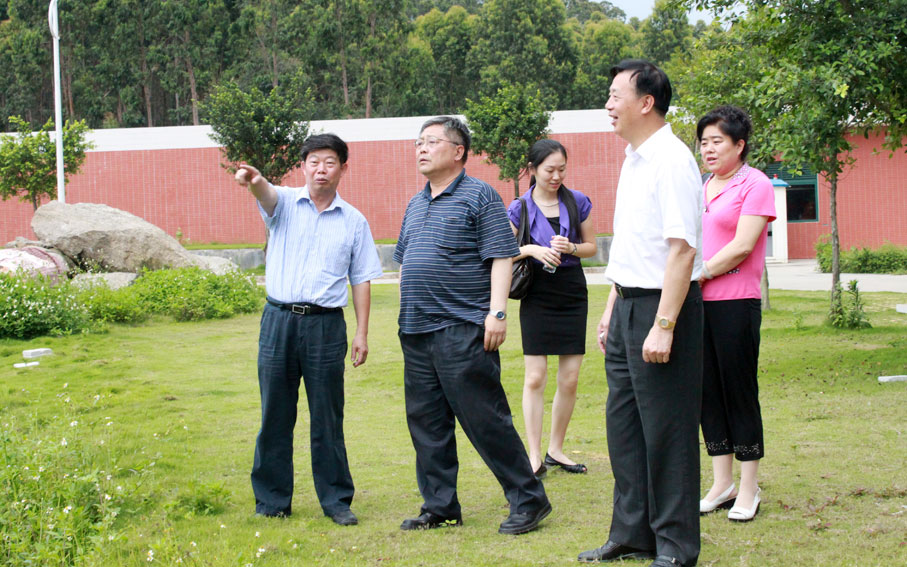 2025新澳门免费原料网