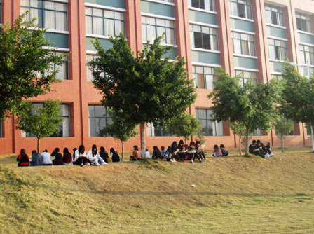 2025新澳门免费原料网