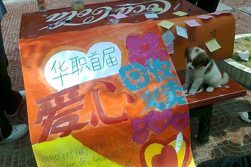 2025新澳门免费原料网