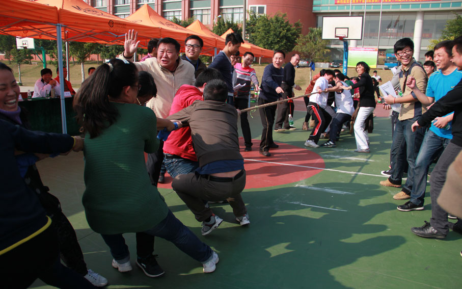 2025新澳门免费原料网