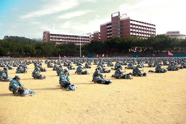 2025新澳门免费原料网