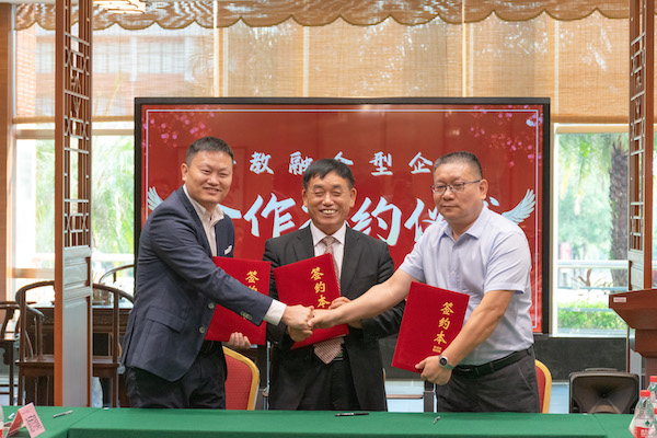 2025新澳门免费原料网