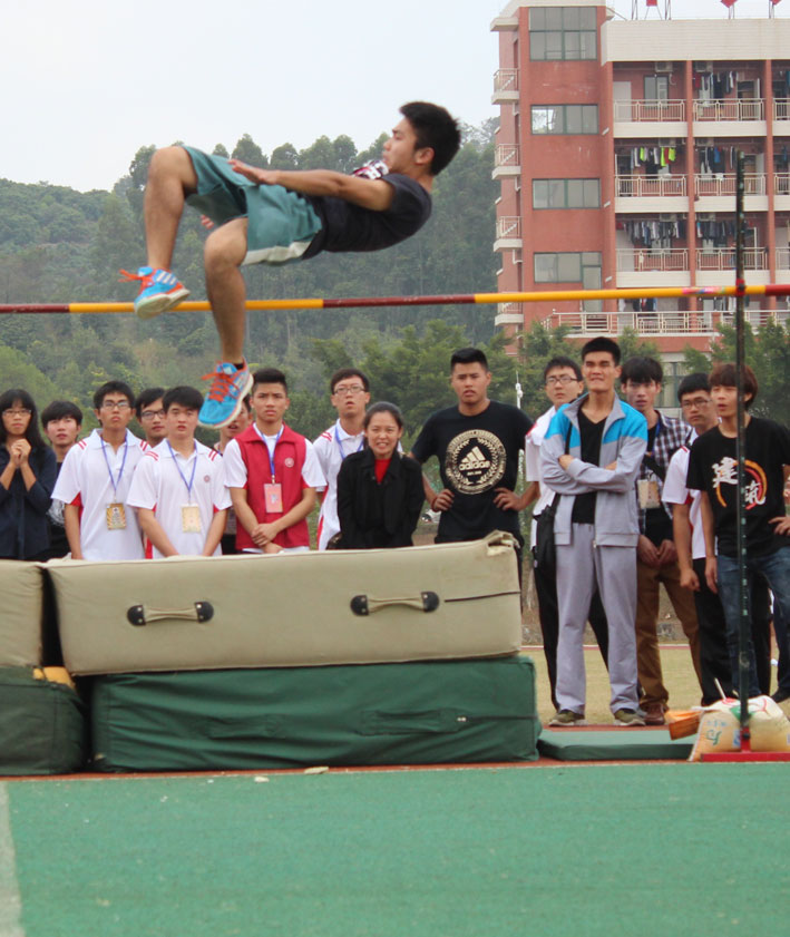 2025新澳门免费原料网