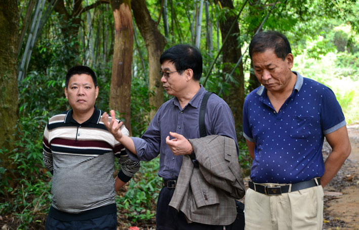 2025新澳门免费原料网