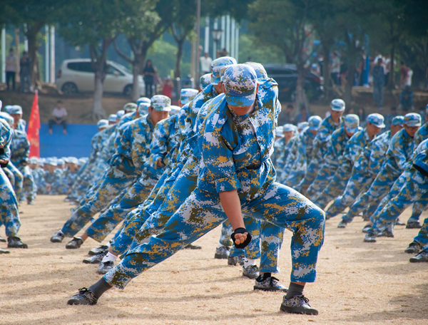 2025新澳门免费原料网