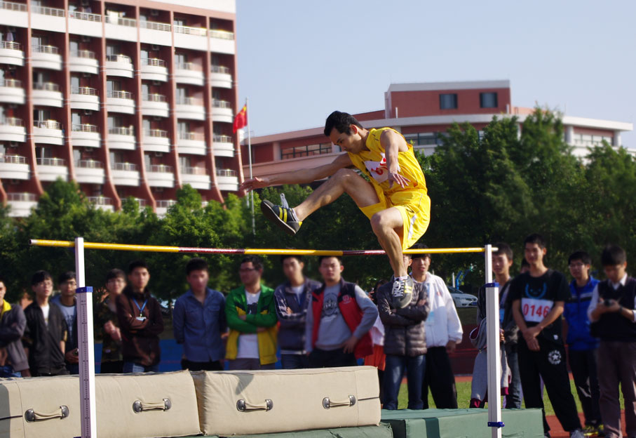 2025新澳门免费原料网