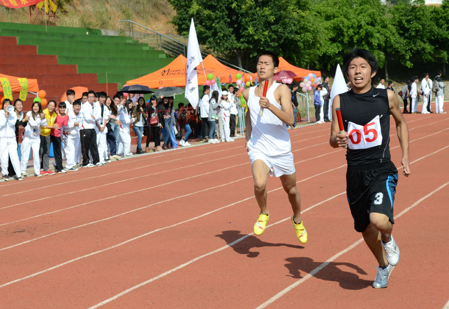 2025新澳门免费原料网