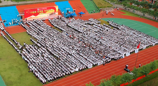 2025新澳门免费原料网