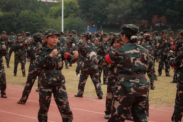 2025新澳门免费原料网