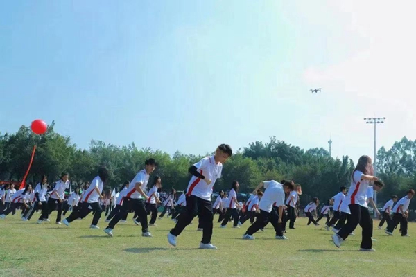 2025新澳门免费原料网